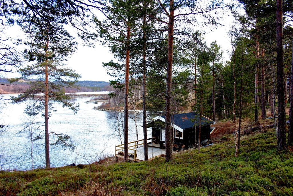 Bed and Breakfast Birk Bed & Birds à Svanvik Extérieur photo