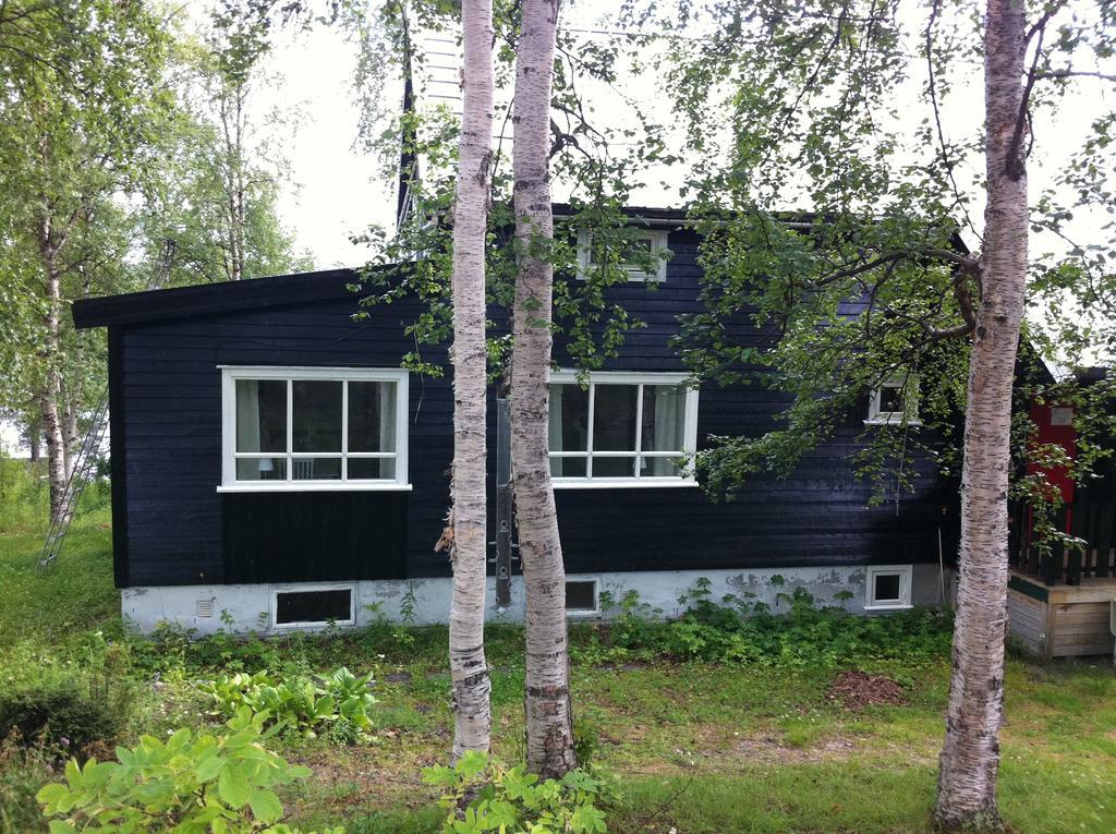 Bed and Breakfast Birk Bed & Birds à Svanvik Extérieur photo