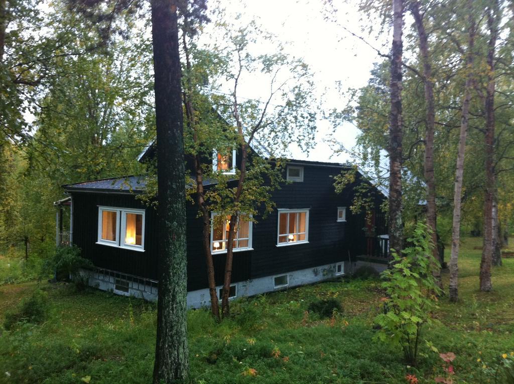 Bed and Breakfast Birk Bed & Birds à Svanvik Chambre photo